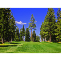 A tree in the middle of the fairway of the par-4 sixth hole at Tahoe Donner Golf Course provides a good aiming point from the tee, providing you don't hit it.
