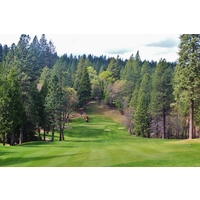 The first hole at Apple Mountain Golf Resort plummets to the green below. 