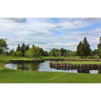 A pond is a major obstacle near the 14th and 17th greens at Bartley Cavanaugh Golf Course in Sacramento, California.