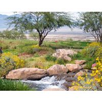 You'll be treated to stunning vistas throughout Rams Hill Golf Club in Borrego Springs, Calif.