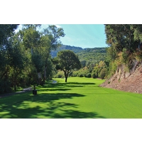 A tree blocks the 10th fairway at Quail Lodge & Golf Club in Carmel, Calif.