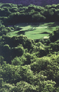 No. 17