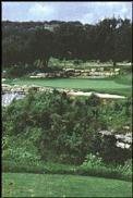 No. 9