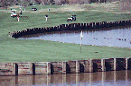 Carlton Oaks Country Club