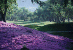 Carlton Oaks Country Club