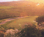 Bodega Harbour Golf Links