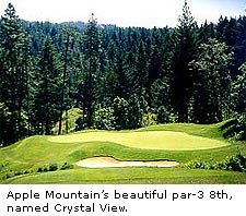 Apple Mountain Golf Resort