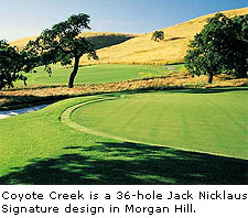 Coyote Creek