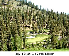 v Coyote Moon