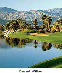 Desert Willow