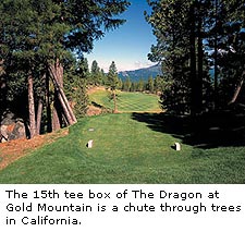 The Dragon at Gold Mountain