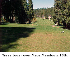 Mace Meadows Golf & Country Club