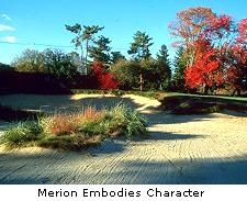 Merion Embodies Character