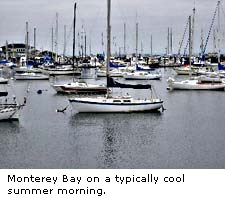 Monterey Bay in summer