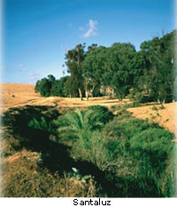 Santaluz Golf Club