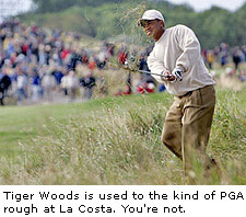 Tiger Woods