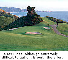Torrey Pines