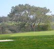 Torrey Pines