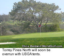 Torrey Pines
