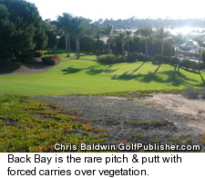 Back Bay Golf Course - Carries