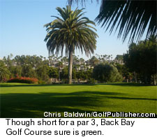 Back Bay Golf Course - Greens