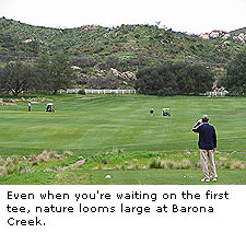 Barona Creek