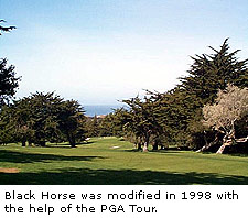 Bayonet Golf Course