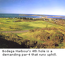 Bodega Harbour Golf Links