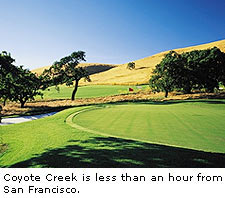 Coyote Creek