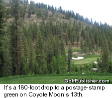 Coyote Moon - Truckee golf course - Lake Tahoe/Reno - No. 13
