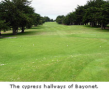 The cypress hallways of Bayonet