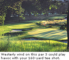DarkHorse Golf Club