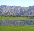 Desert Willow Mountain View