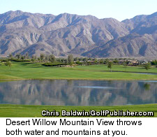 Desert Willow Mountain View