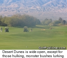 Desert Dunes Golf Course