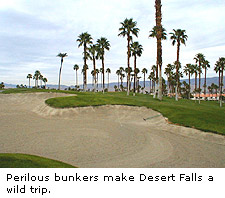 Desert Falls