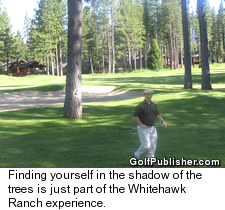Whitehawk Ranch Golf Club - Shadows Trees