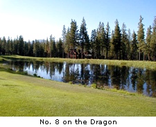No. 8 on the Dragon