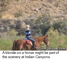 Indian Canyon Horses