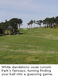 Lincoln Park