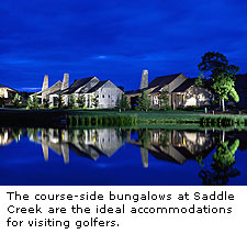 Saddle Creek Bungalows