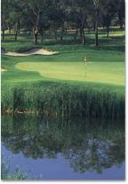 Saddle Creek Golf Course