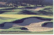 Saddle Creek Golf Course