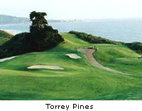 Torrey Pines