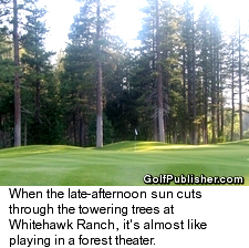 Whitehawk Ranch Golf Club - Pine Trees