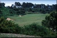 Pelican Hill