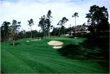 Poppy Hills