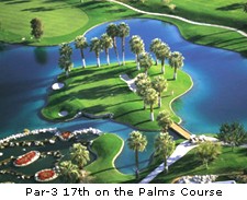 Palms Course