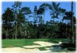 Spyglass