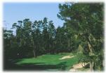 Spyglass